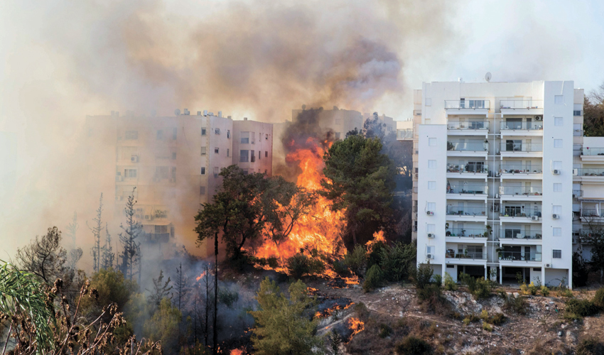 השריפה בכרמל (צילום: Jack Guez, AFP)