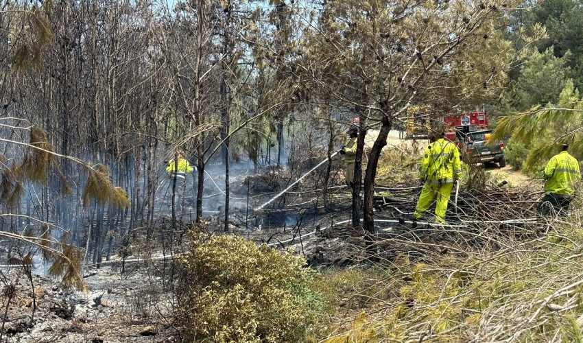 פעולות כיבוי השריפה ביערות הכרמל (צילום: רשות הכבאות וההצלה)