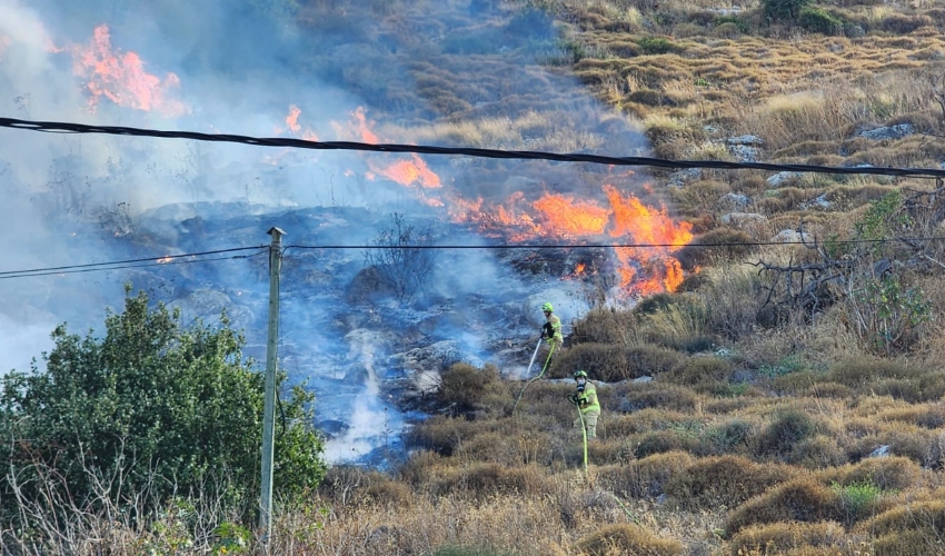 שריפה בשטח פתוח סמוך לכביש דורי (צילום: דוברות רשות הכבאות וההצלה)