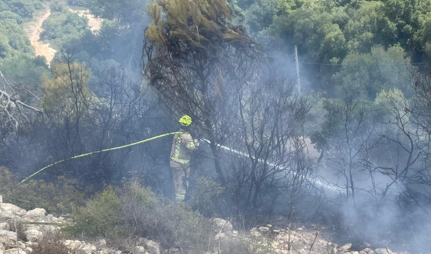 השריפה בפארק הכרמל (צילום: דוברות רשות הכבאות וההצלה)