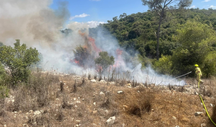 השריפה בפארק הכרמל (צילום: דוברות רשות הכבאות וההצלה)