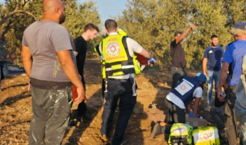 זירת הנפילה ליד אפק | צילום: דוברות מד"א