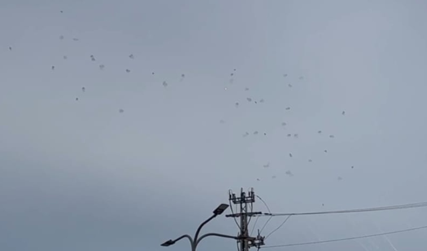 עשרות יירוטים בשמי חיפה (צילום: סיון אברהם)